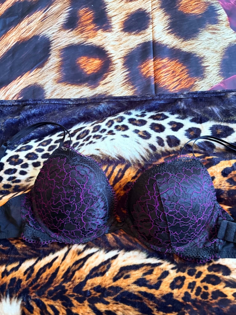 La SENZA Black and Purple Lace Obsession